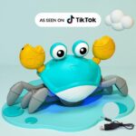 Anytoyz Crawling Crab 5 1.jpg