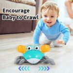 Anytoyz Crawling Crab 6.jpg