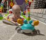 Anytoyz Crawling Crab 6_webp.gif